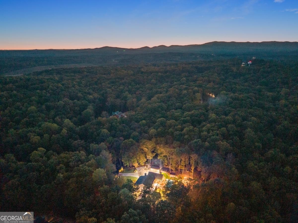 255 Reece Road Dawsonville - 70