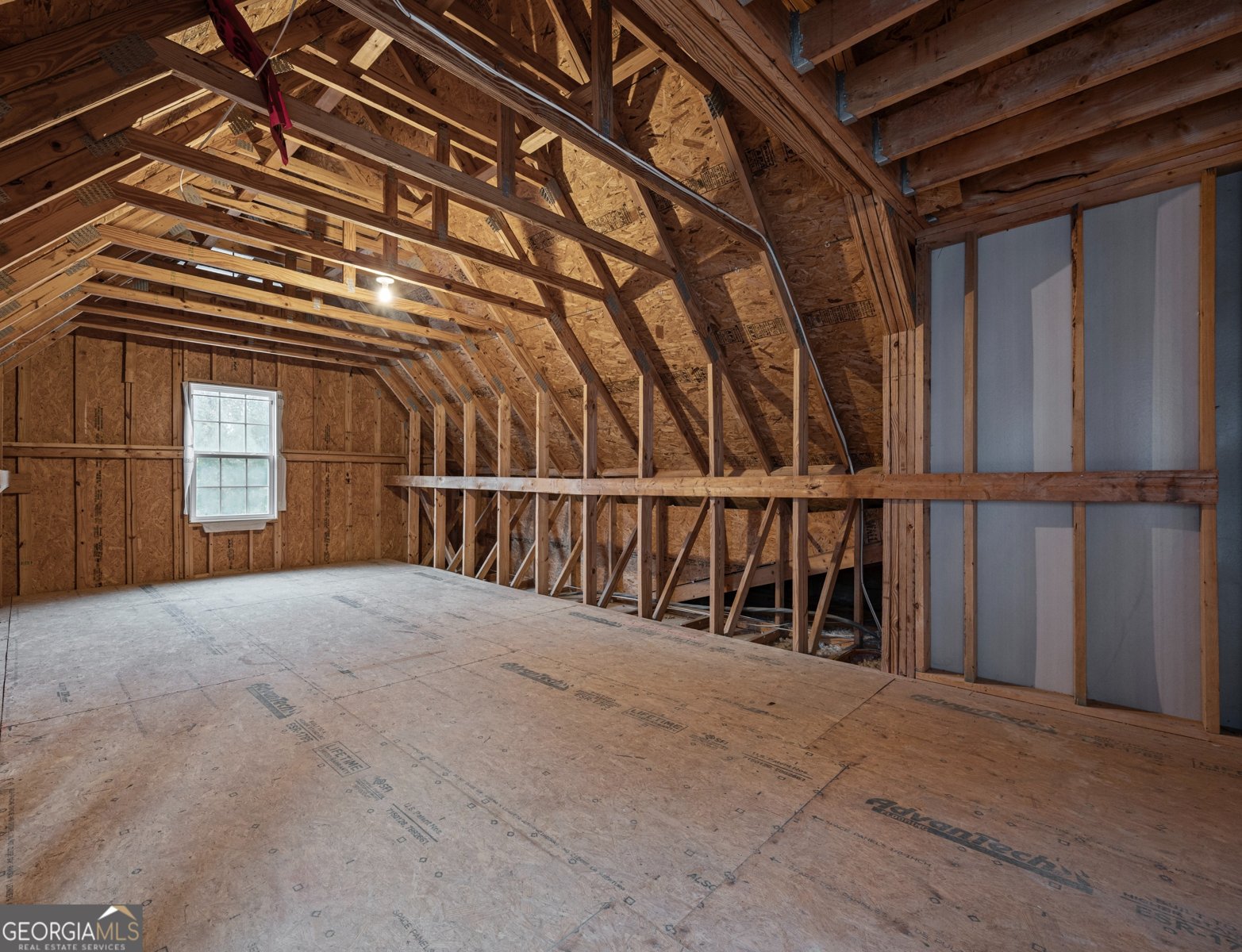 3534 Blue Cypress Cove Gainesville - 20