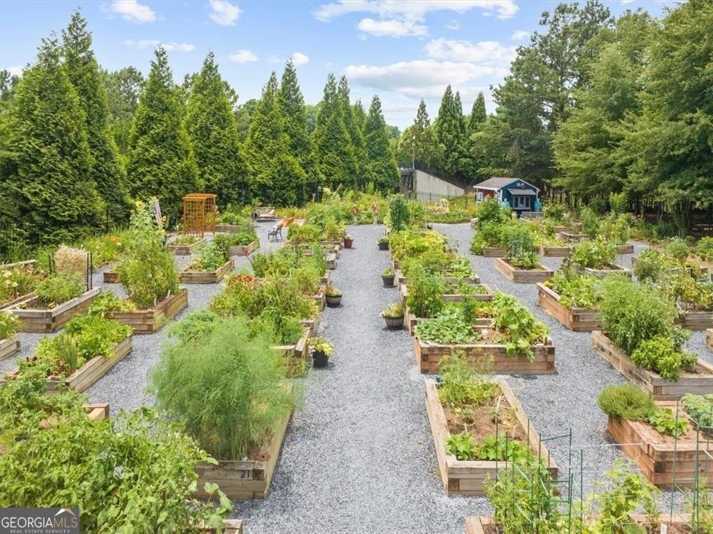 3534 Blue Cypress Cove Gainesville - 35