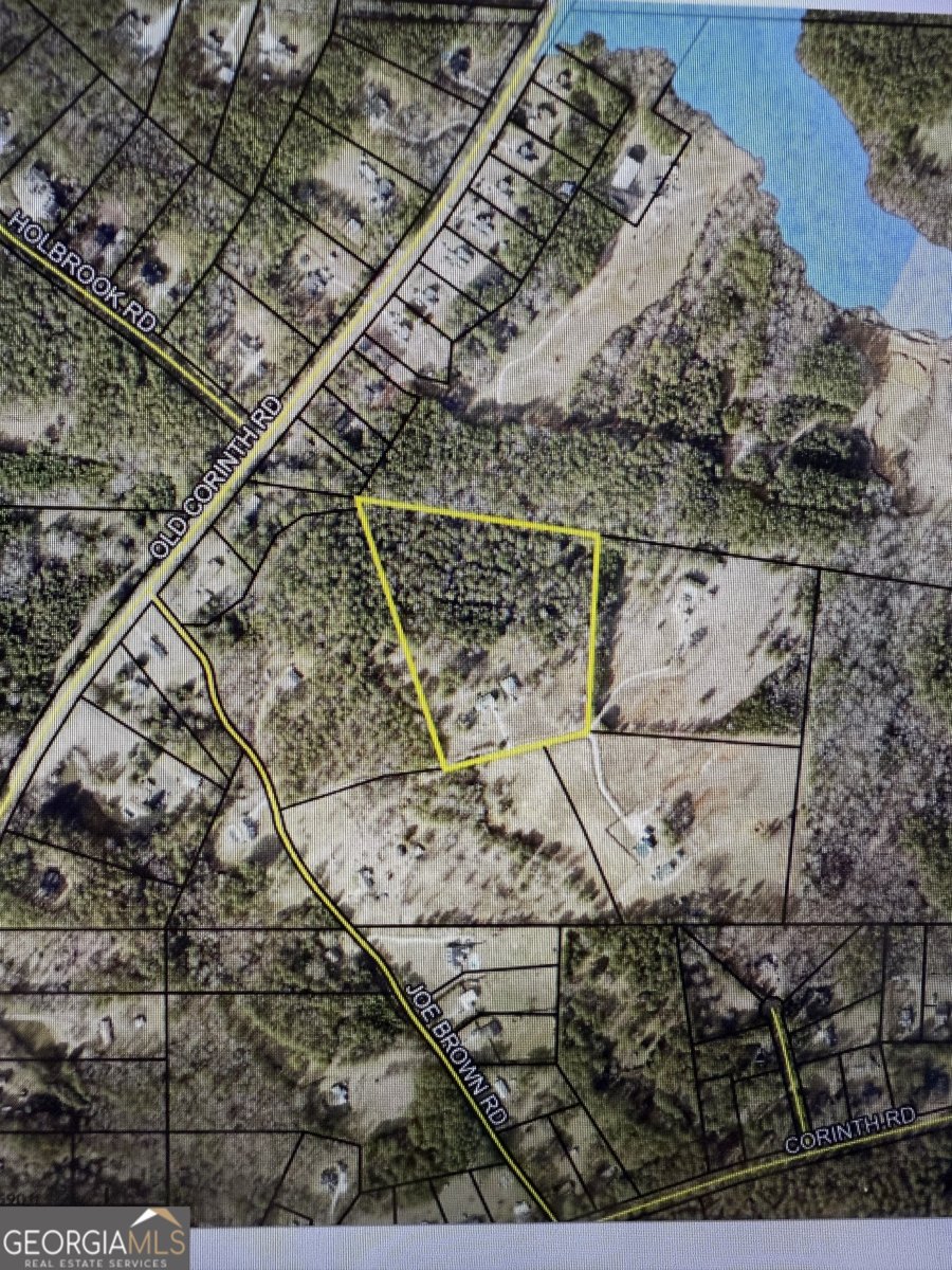 175 Joe Brown Road Newnan - 37