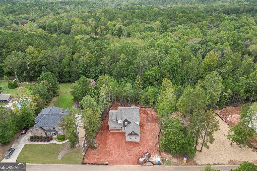 1241 Riverhill Drive Bishop - 39