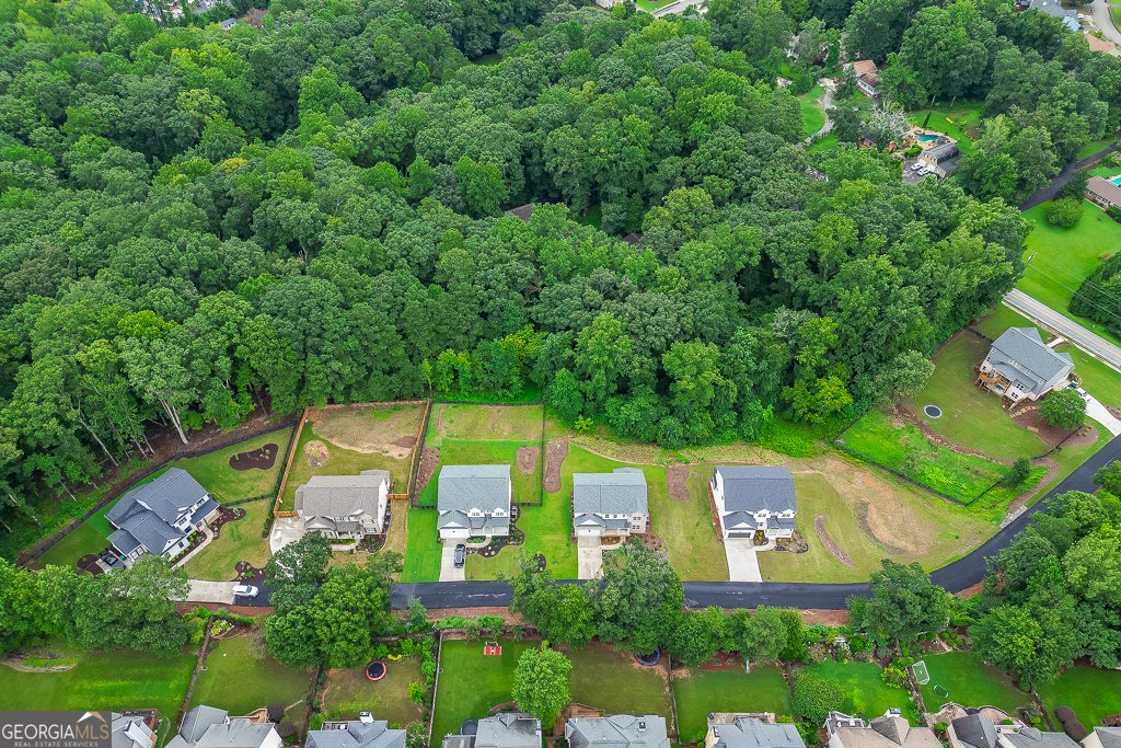 314 Level Creek Road Sugar Hill - 30