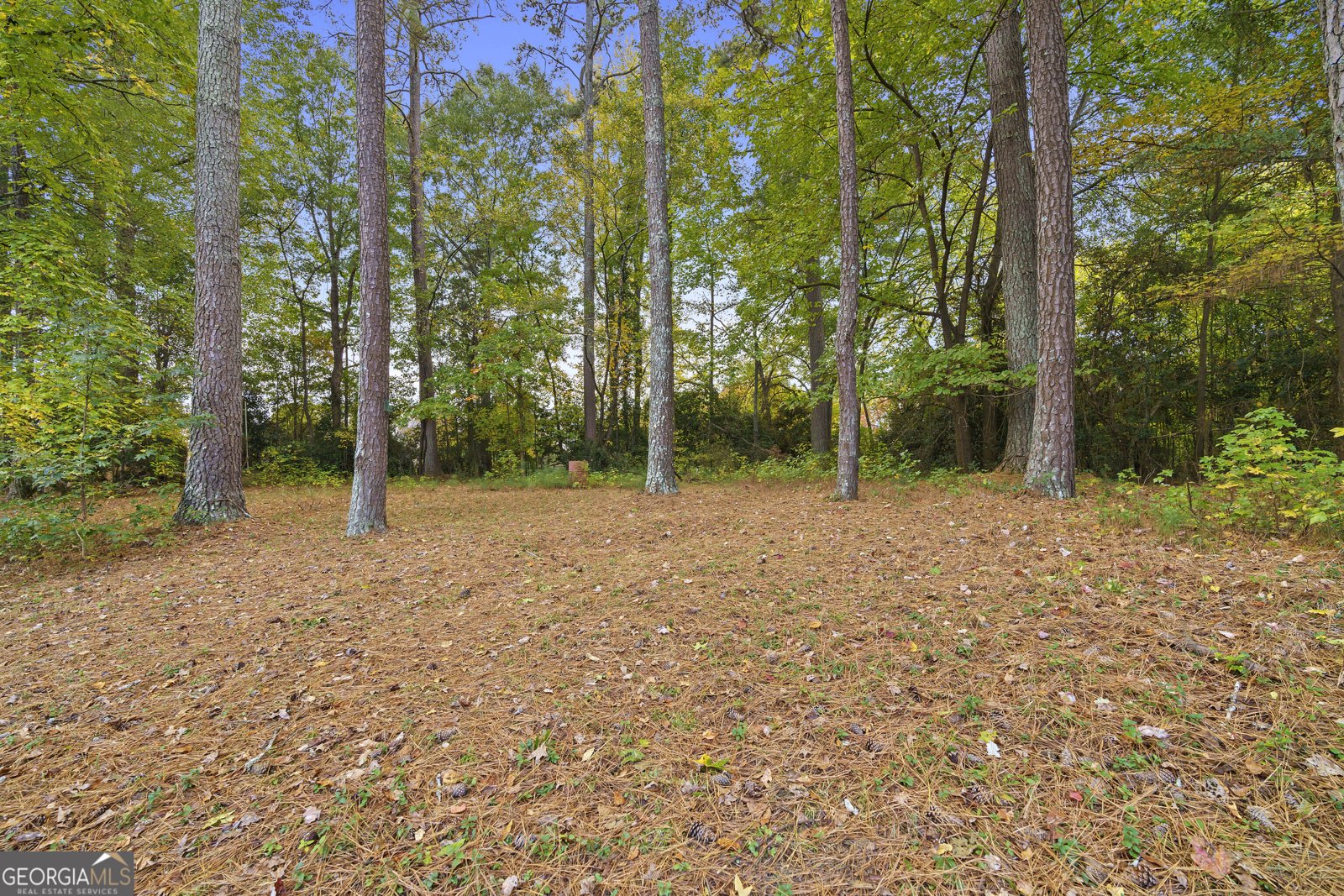 106 Pioneer Drive Woodstock - 26