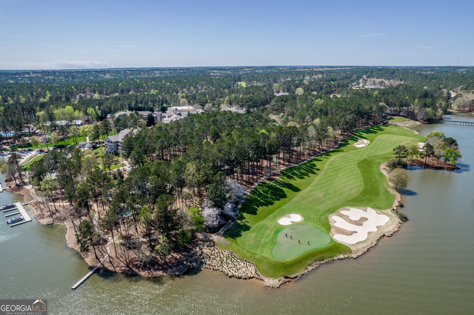 1001B Marina Cove Lane Greensboro - 49