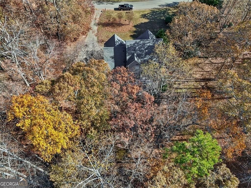 1013 Hickory Woods Way Canton - 6