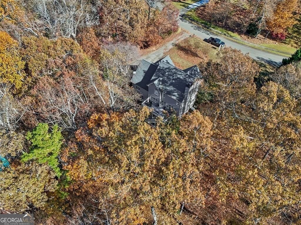 1013 Hickory Woods Way Canton - 7