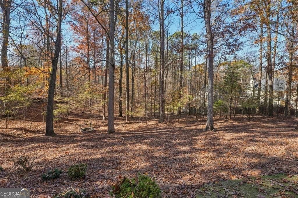 1013 Hickory Woods Way Canton - 71