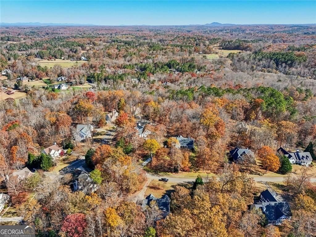 1013 Hickory Woods Way Canton - 8