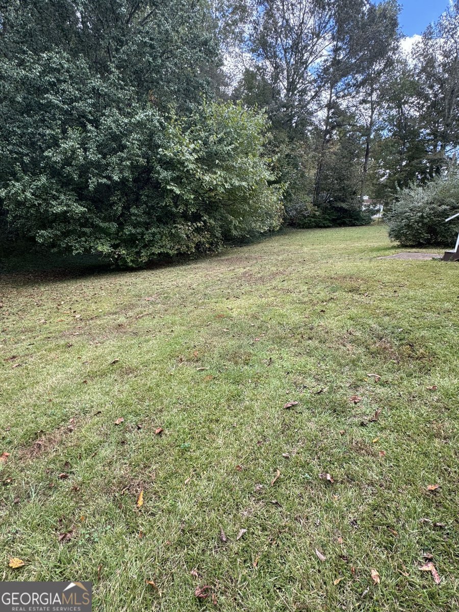 3827 Sherwood Drive Douglasville - 26