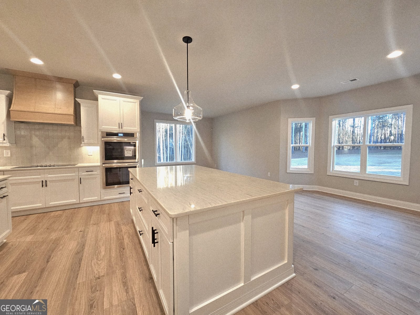 453 Lamar Smith Drive Newnan - 20