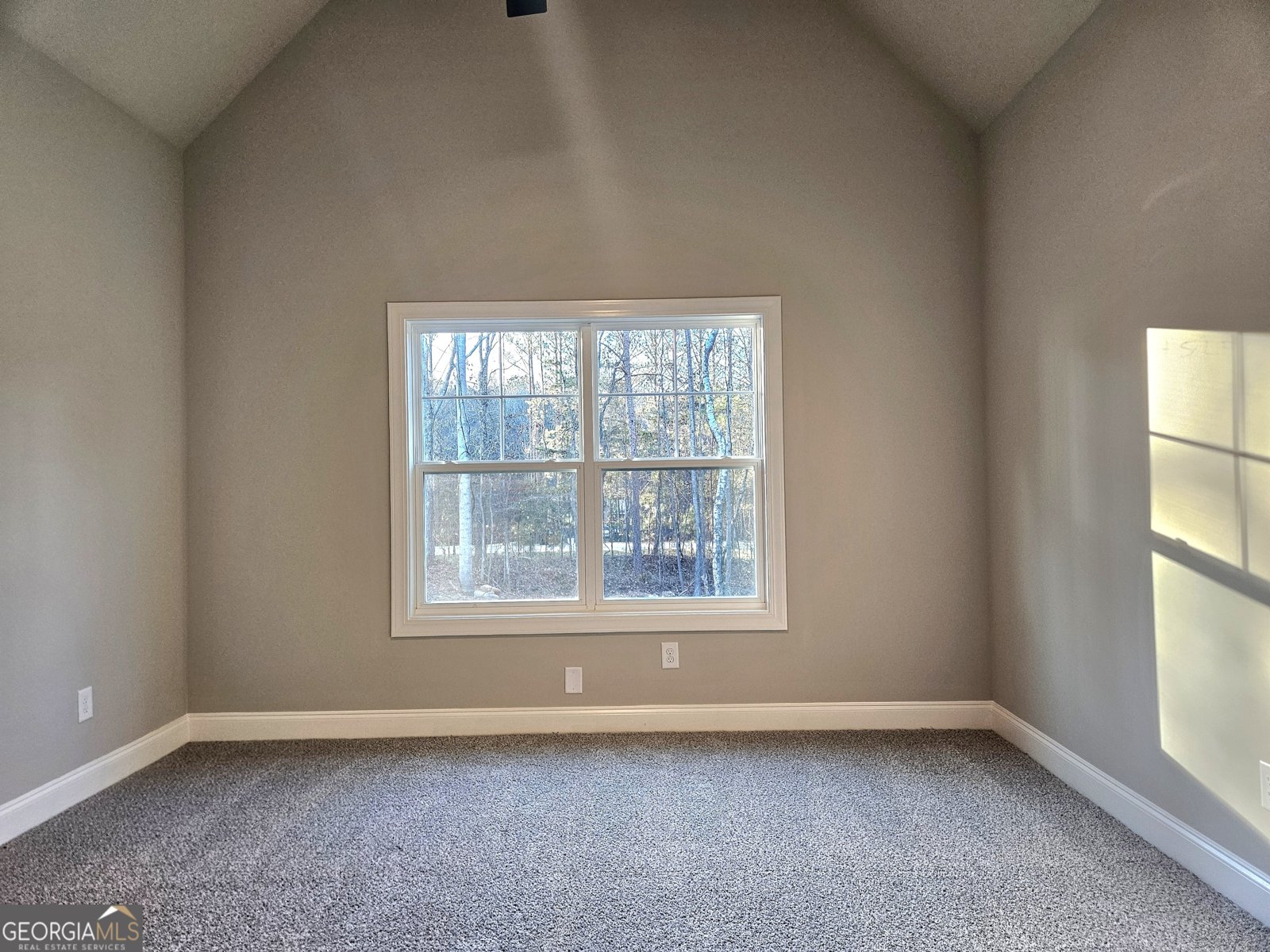 453 Lamar Smith Drive Newnan - 22