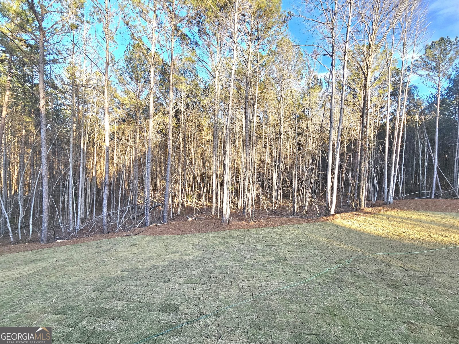 453 Lamar Smith Drive Newnan - 45