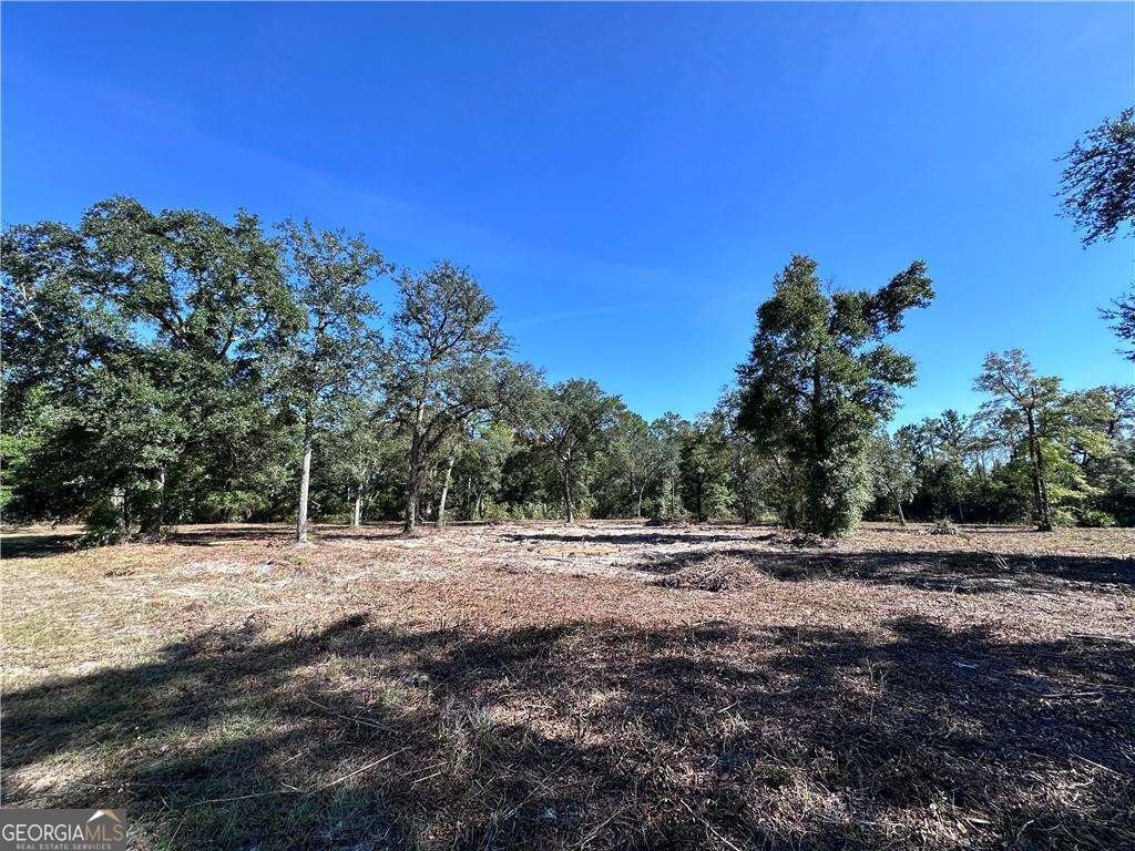 139 Satilla Sands Drive Waynesville - 2