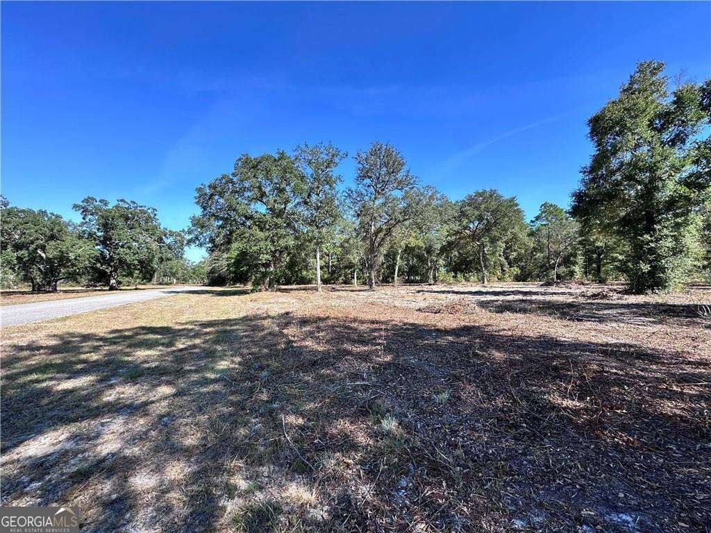 139 Satilla Sands Drive Waynesville - 3