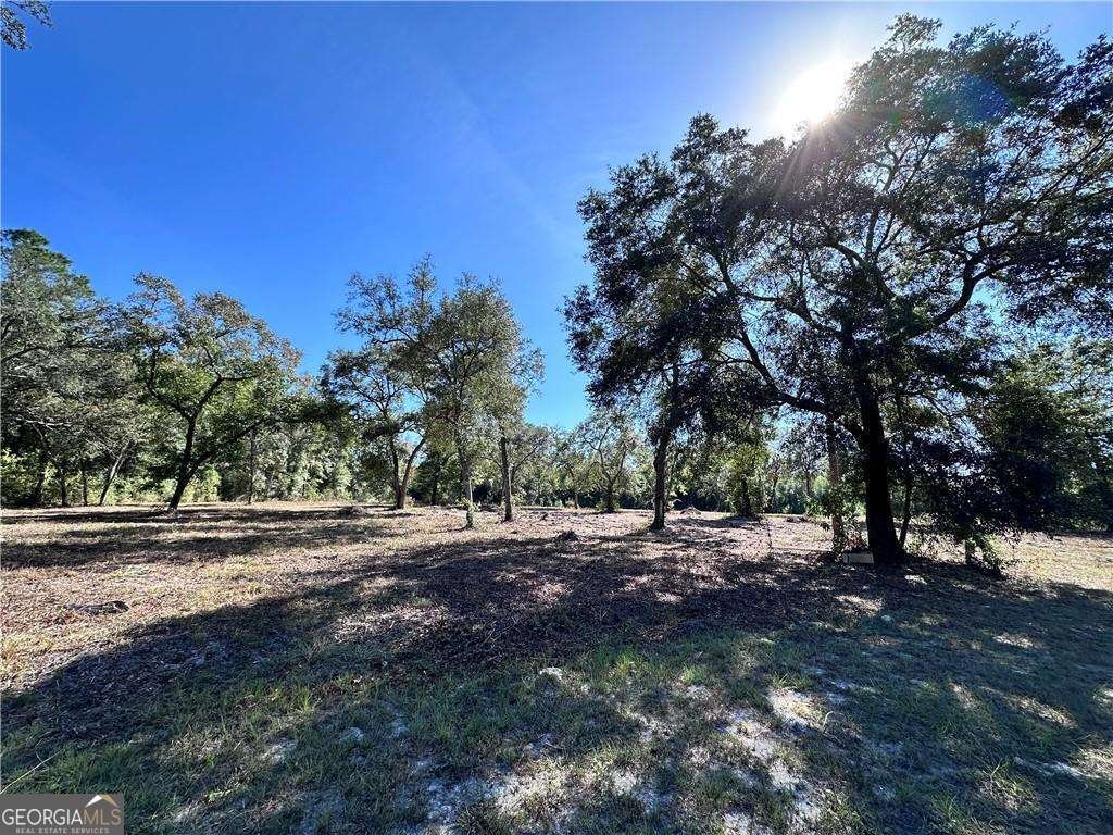 139 Satilla Sands Drive Waynesville - 5