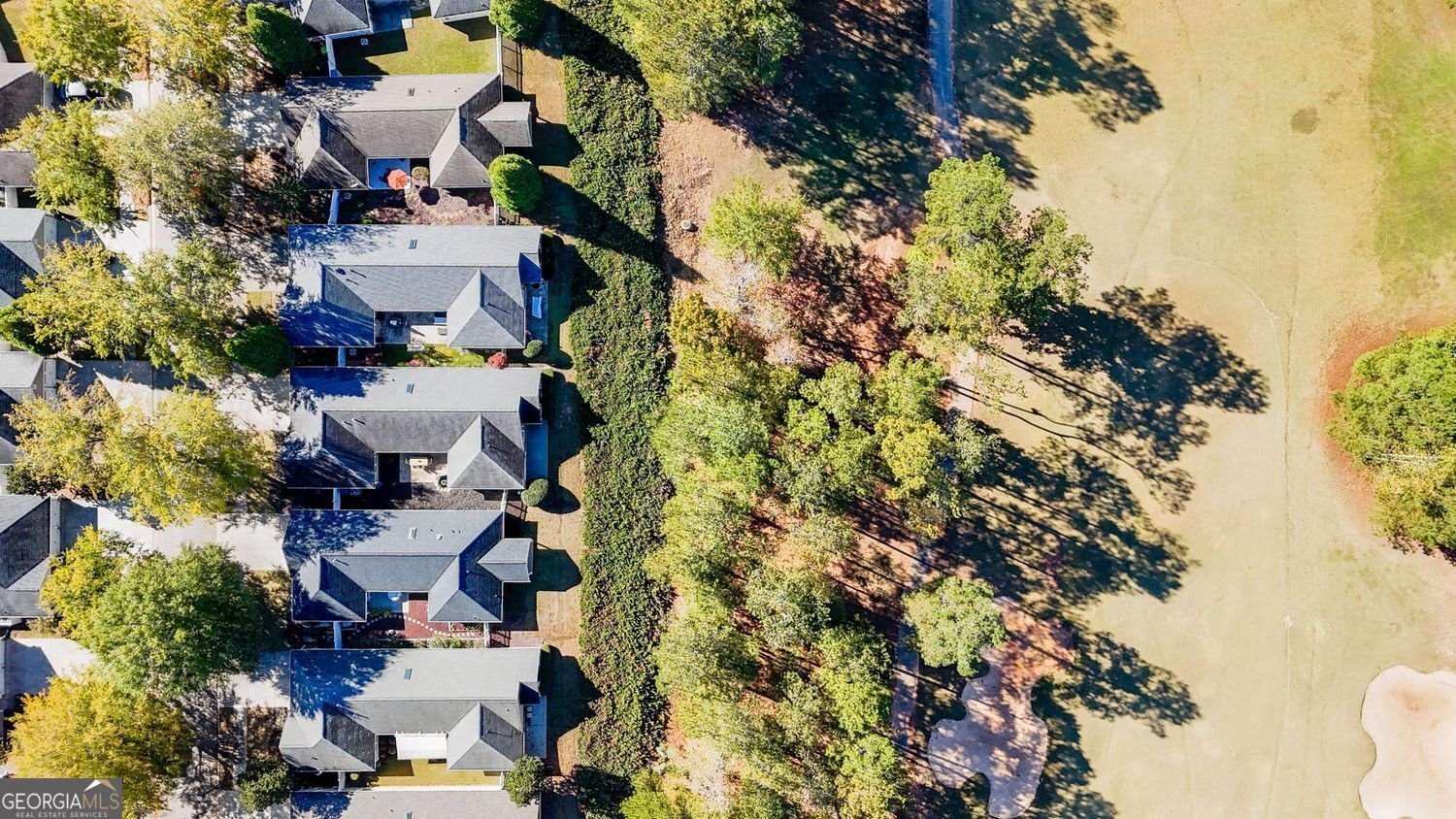 150 Cottage Club Drive Locust Grove - 1