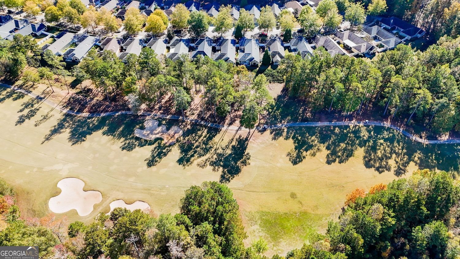 150 Cottage Club Drive Locust Grove - 2