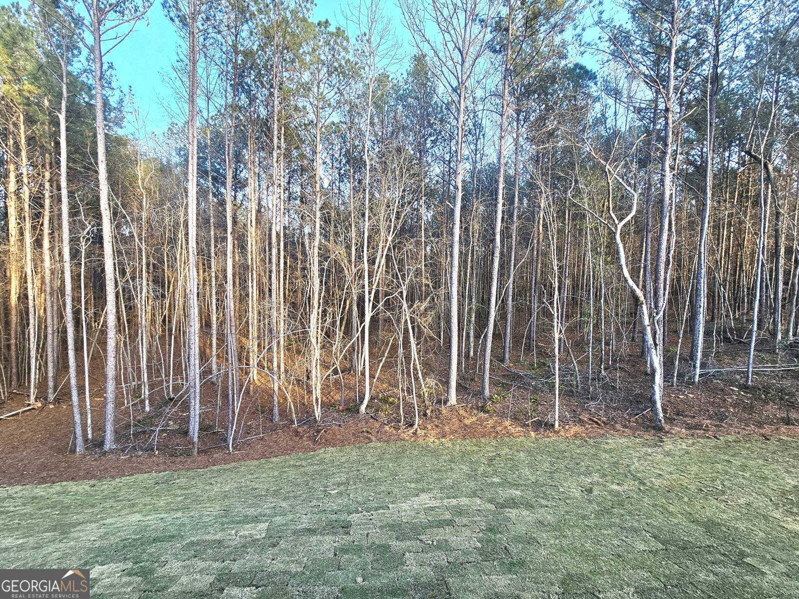 463 Lamar Smith Drive Newnan - 30