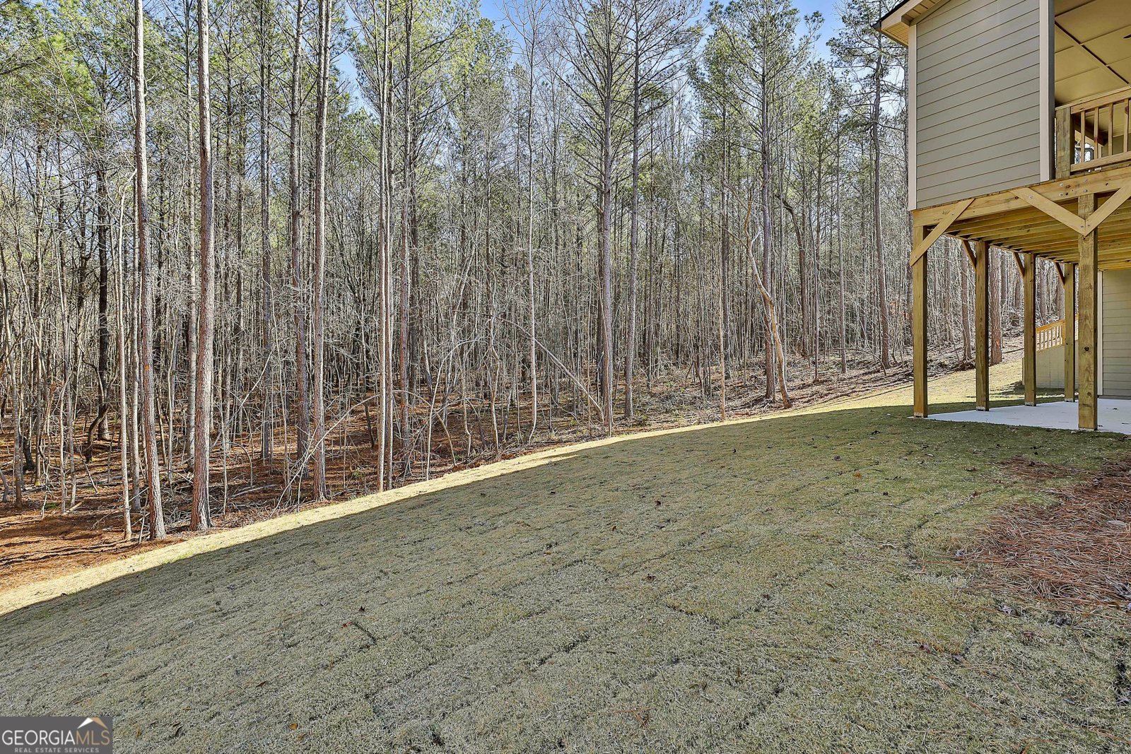 463 Lamar Smith Drive Newnan - Photo 39