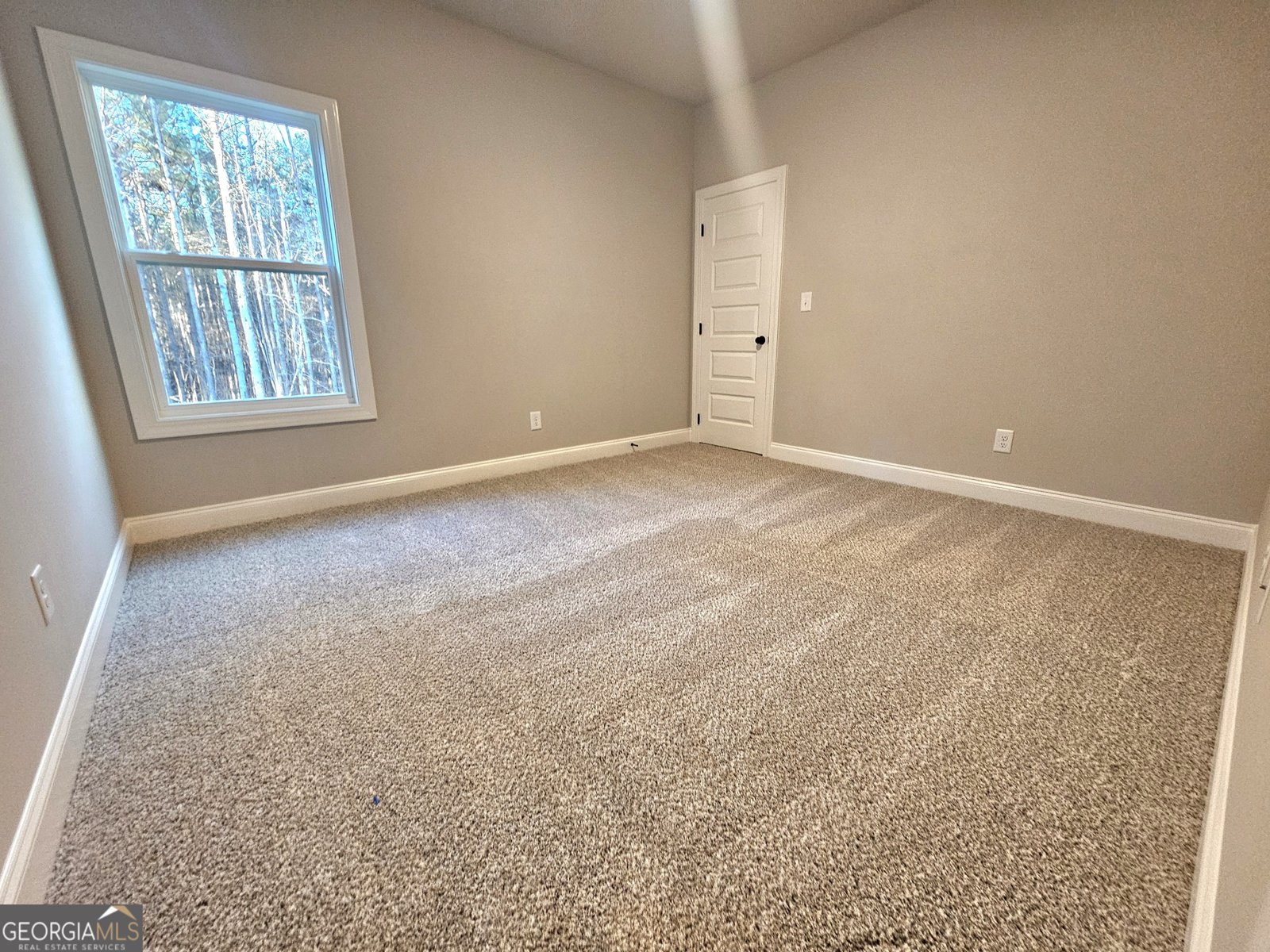 463 Lamar Smith Drive Newnan - 7