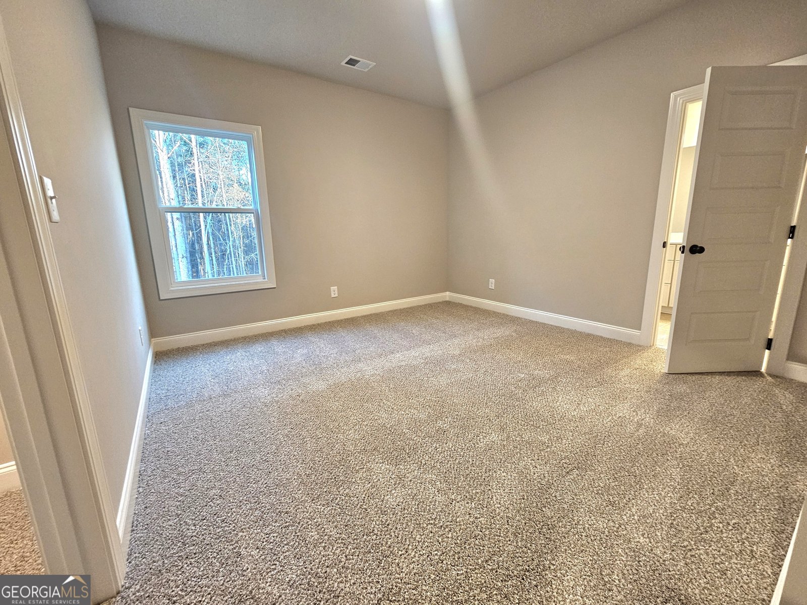 463 Lamar Smith Drive Newnan - 8