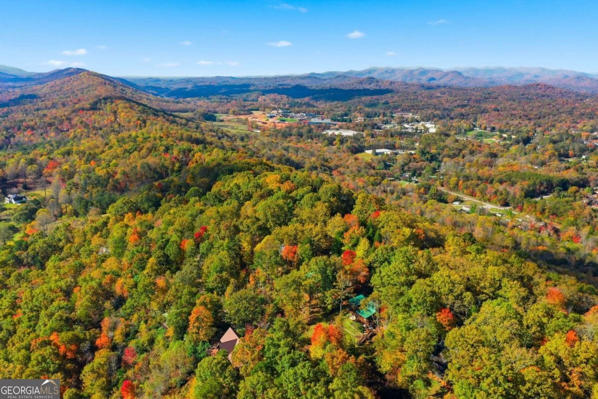 392 Eagles Nest Mountain Road Blue Ridge - 46