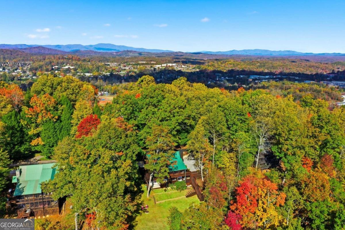 392 Eagles Nest Mountain Road Blue Ridge - 5