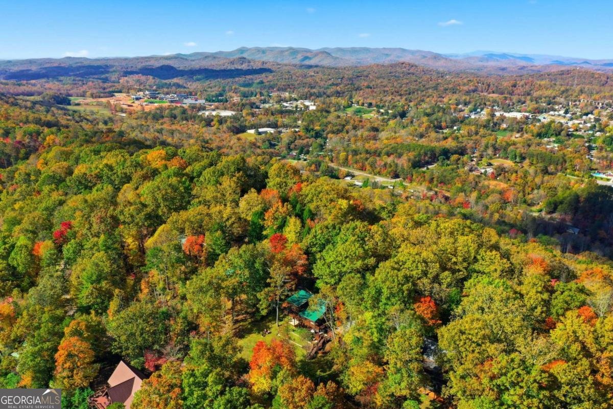 392 Eagles Nest Mountain Road Blue Ridge - 6