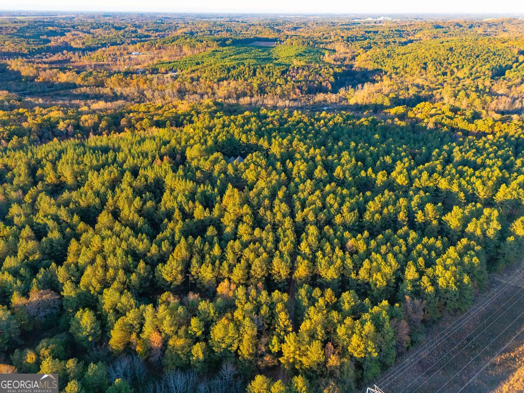 1907 Mountain Creek Church Road Starr - 25