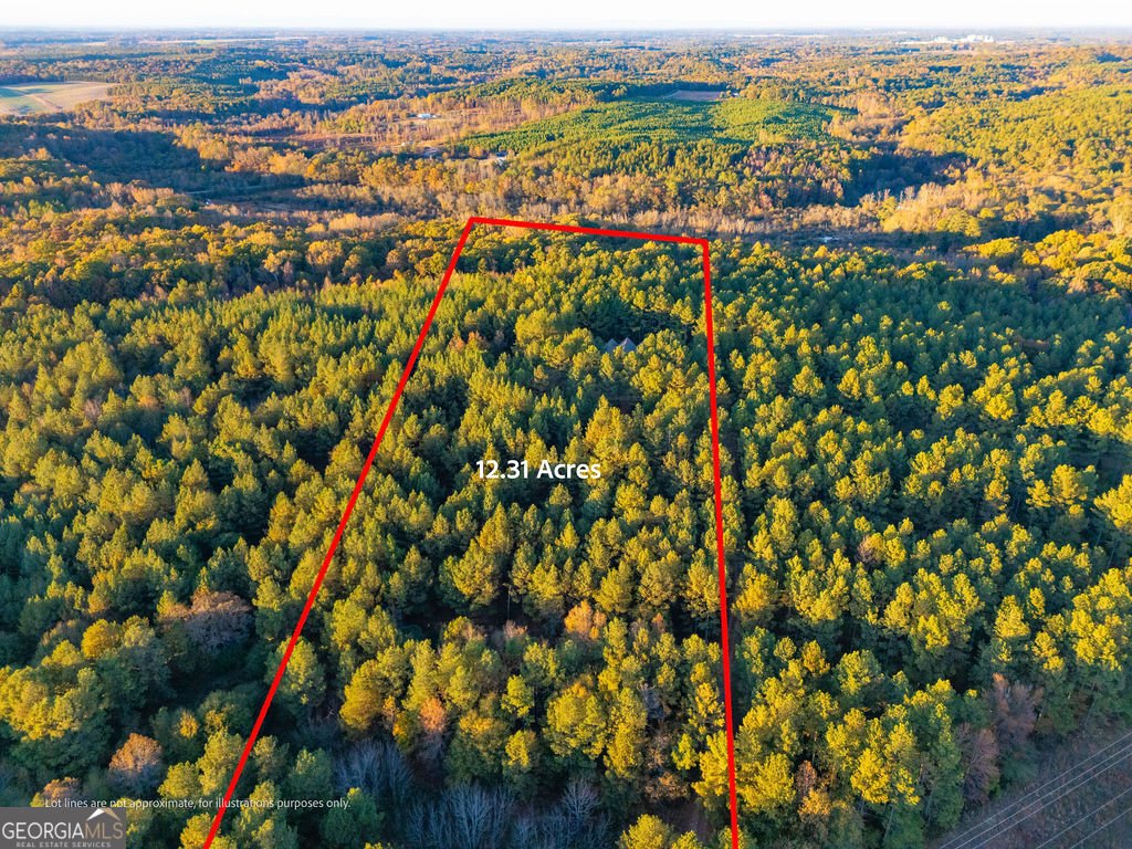 1907 Mountain Creek Church Road Starr - 27