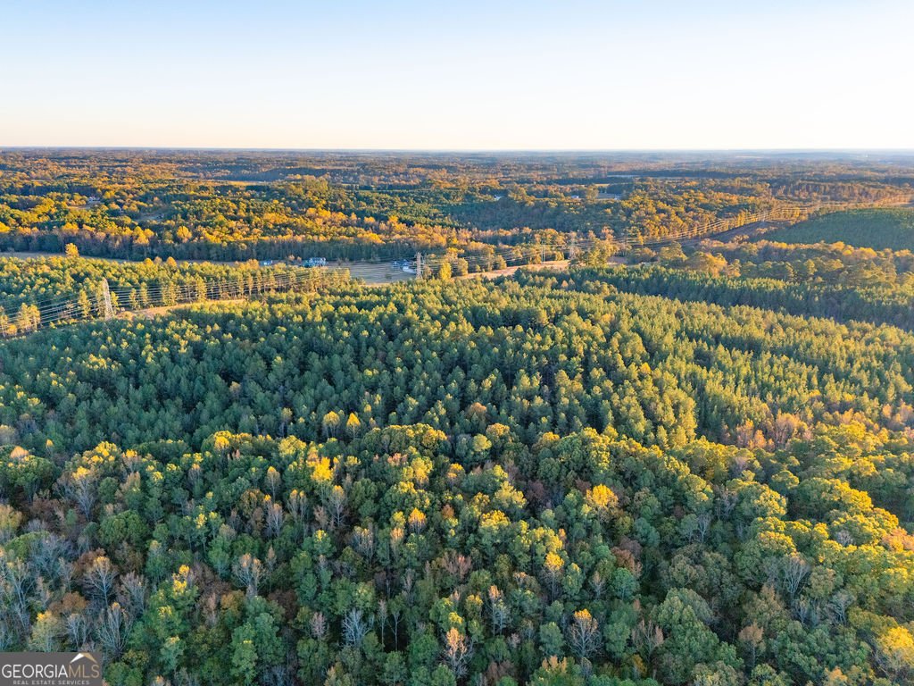 1907 Mountain Creek Church Road Starr - 28