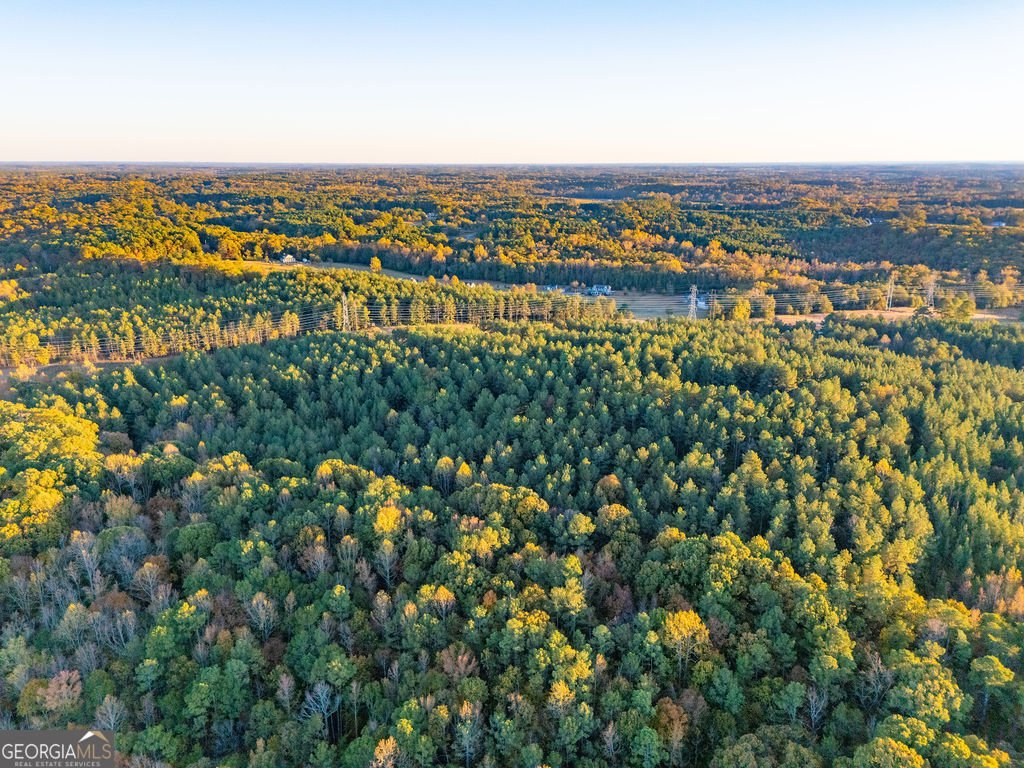 1907 Mountain Creek Church Road Starr - 29