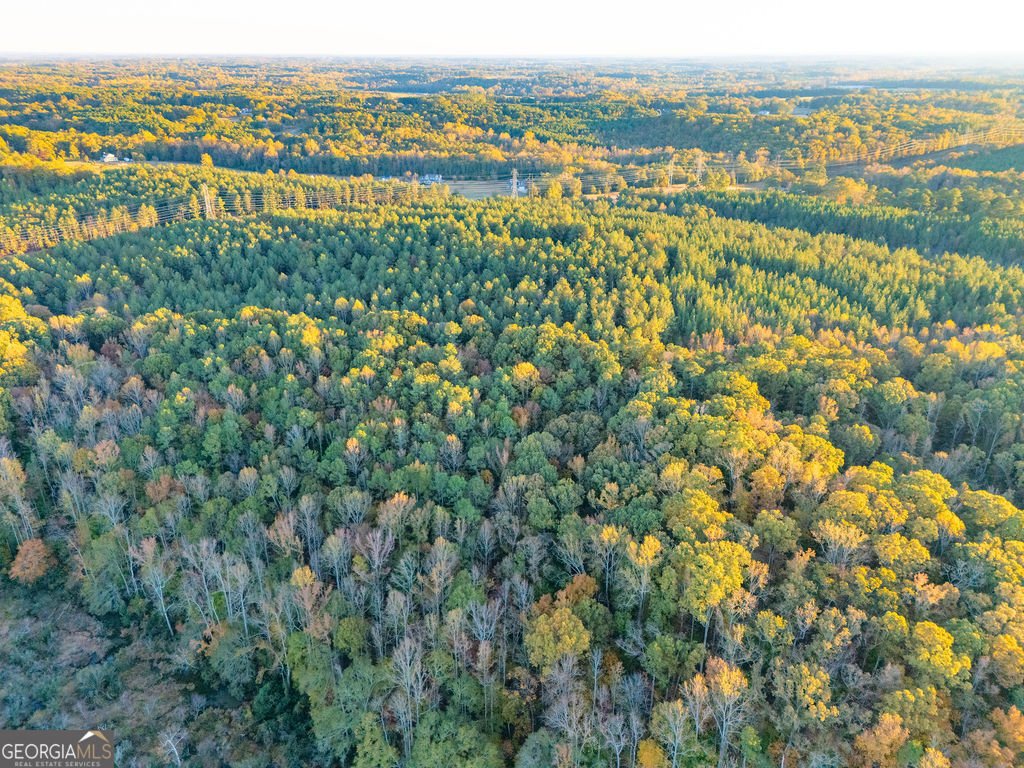 1907 Mountain Creek Church Road Starr - 30