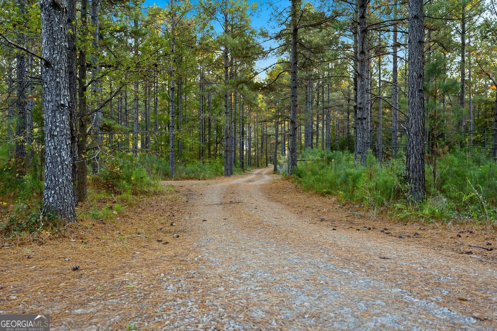 1907 Mountain Creek Church Road Starr - 7