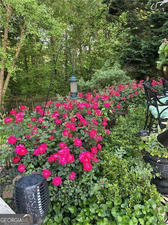 1885 SPRING ROSE Glen Lawrenceville - 11