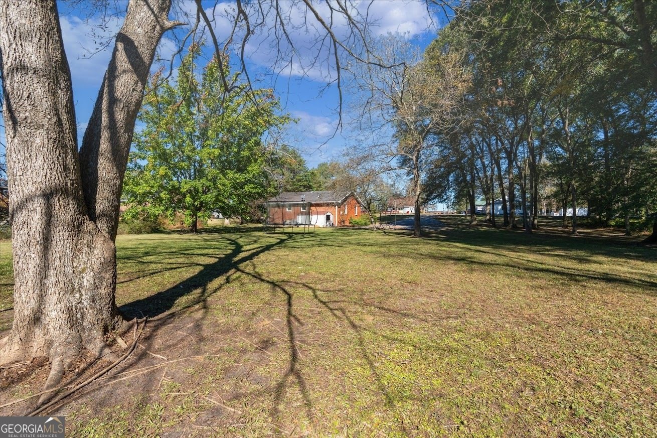 425 Mitchell Avenue Bowdon - 32