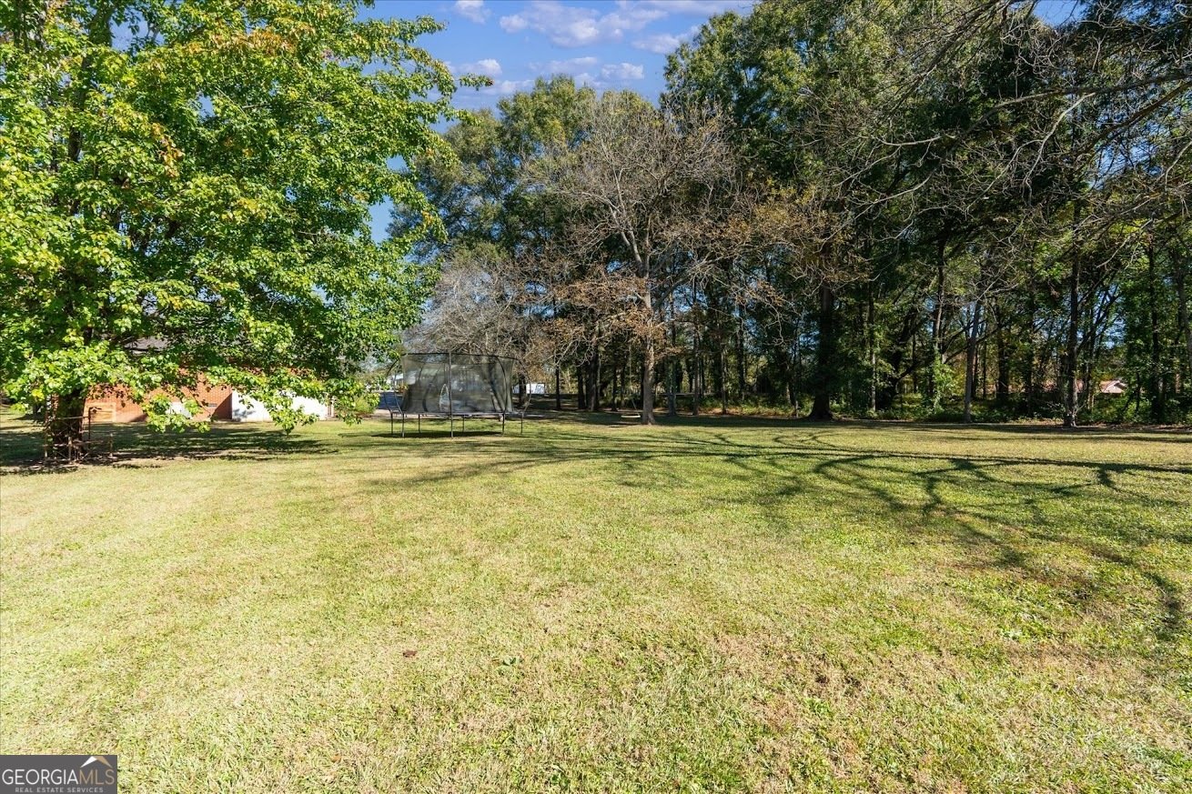 425 Mitchell Avenue Bowdon - 33