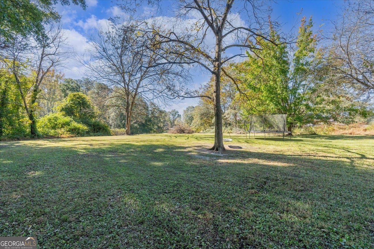 425 Mitchell Avenue Bowdon - 34