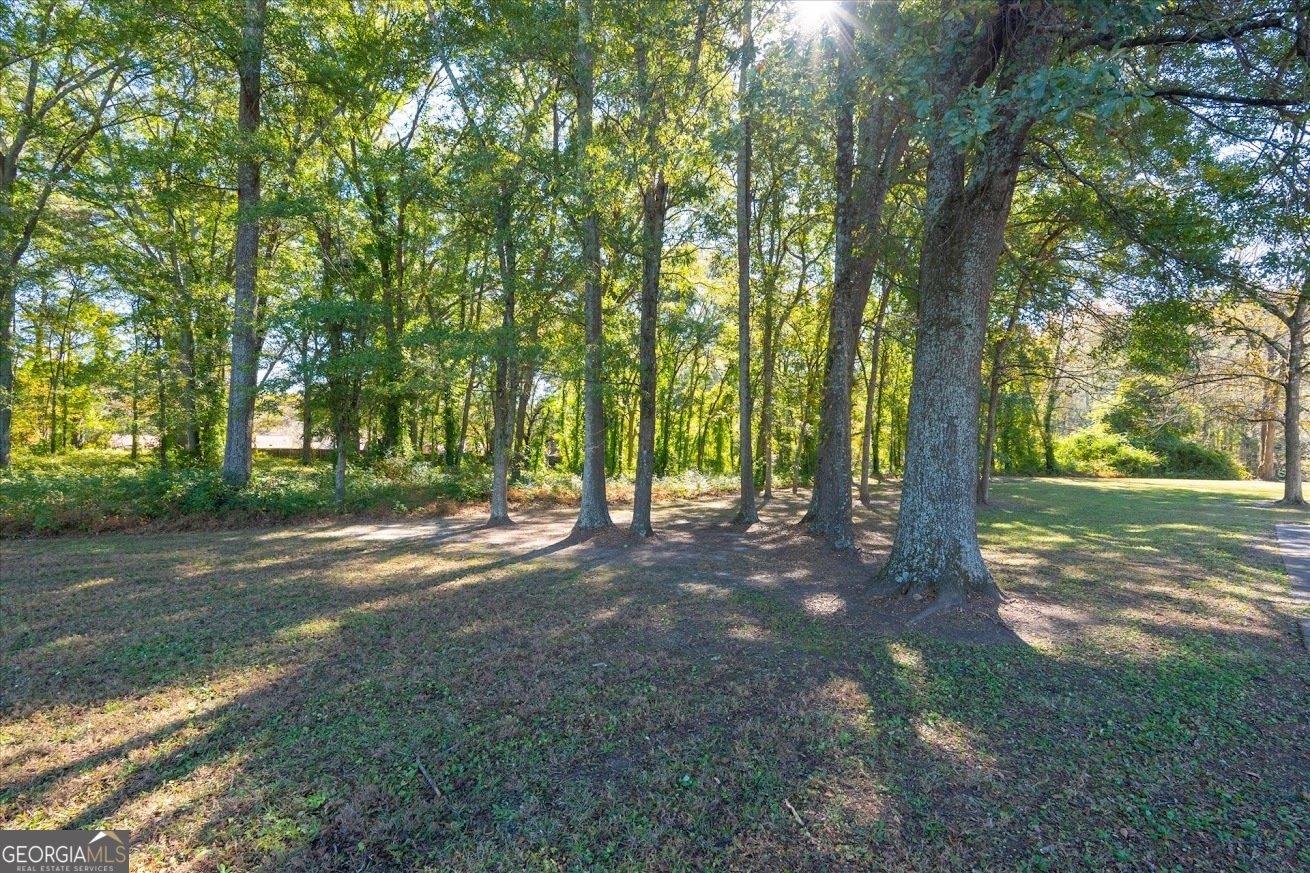 425 Mitchell Avenue Bowdon - 35