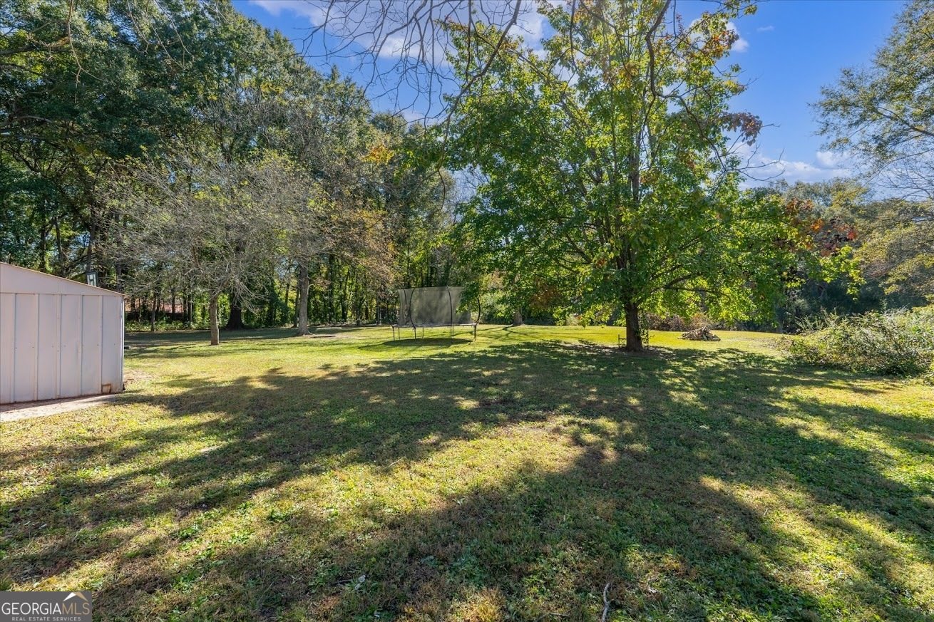 425 Mitchell Avenue Bowdon - 36