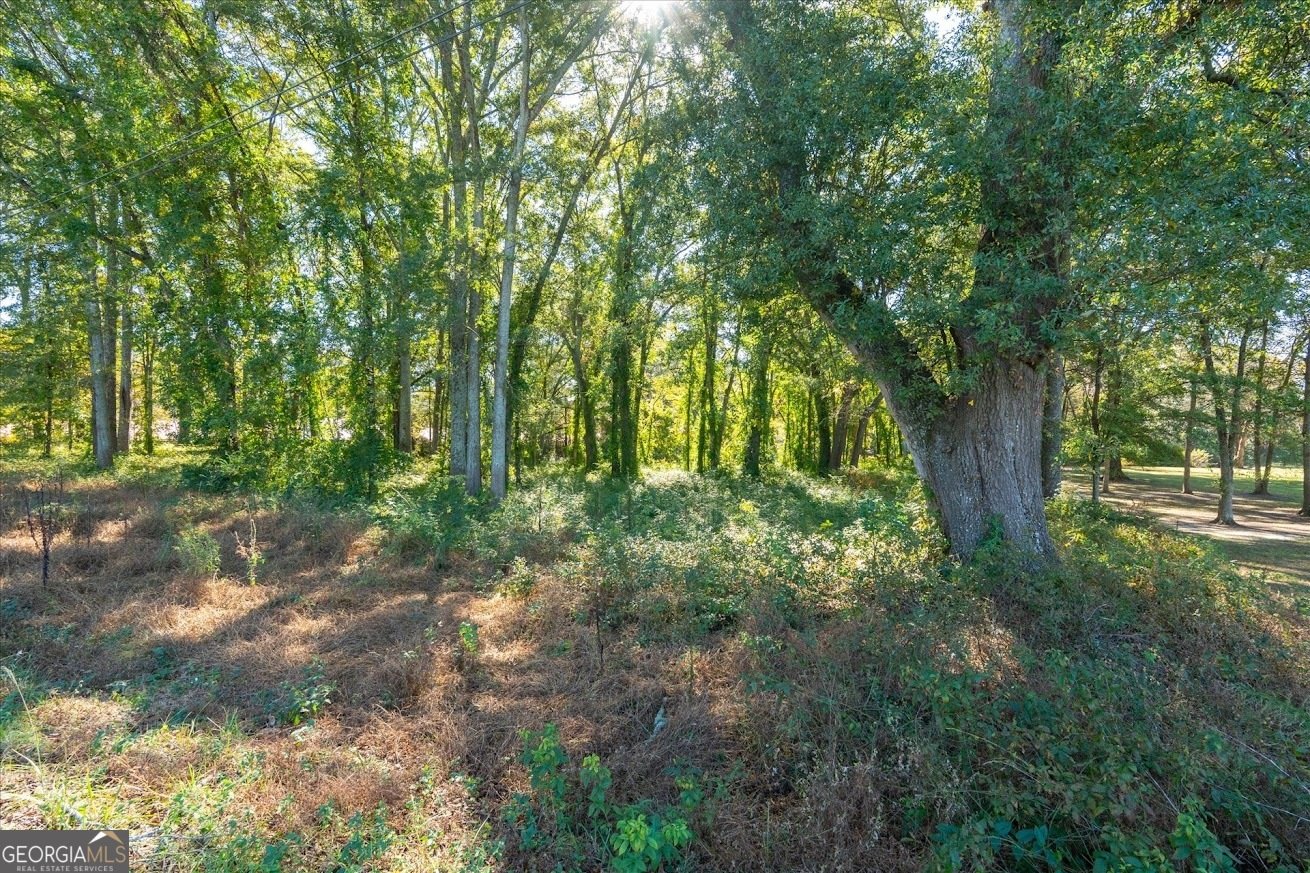 425 Mitchell Avenue Bowdon - 37