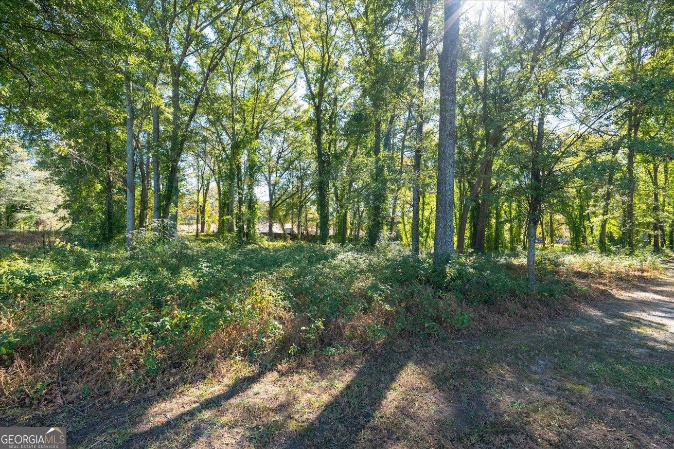 425 Mitchell Avenue Bowdon - 38