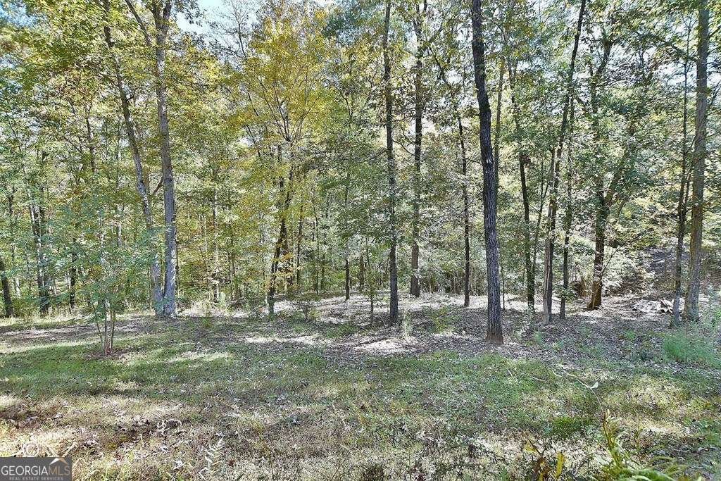 3175 Salem Road Pine Mountain - 14