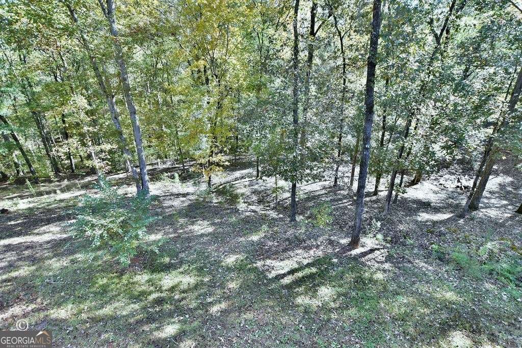 3175 Salem Road Pine Mountain - 33