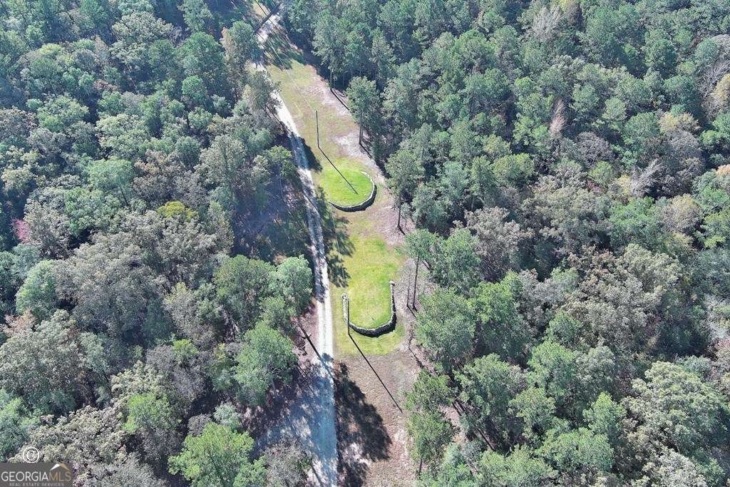 3175 Salem Road Pine Mountain - 39