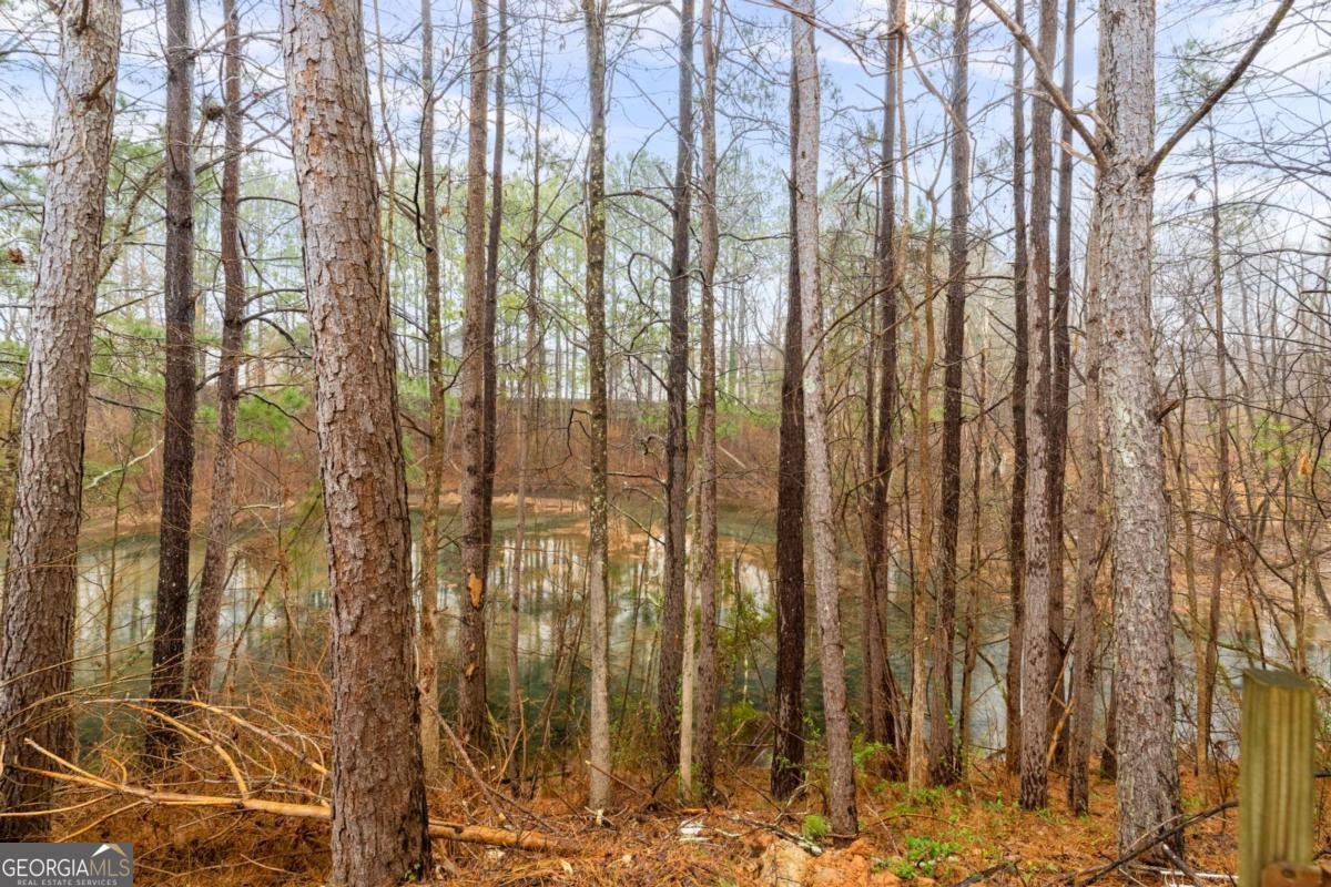 650 Chantress Court Alpharetta - 27