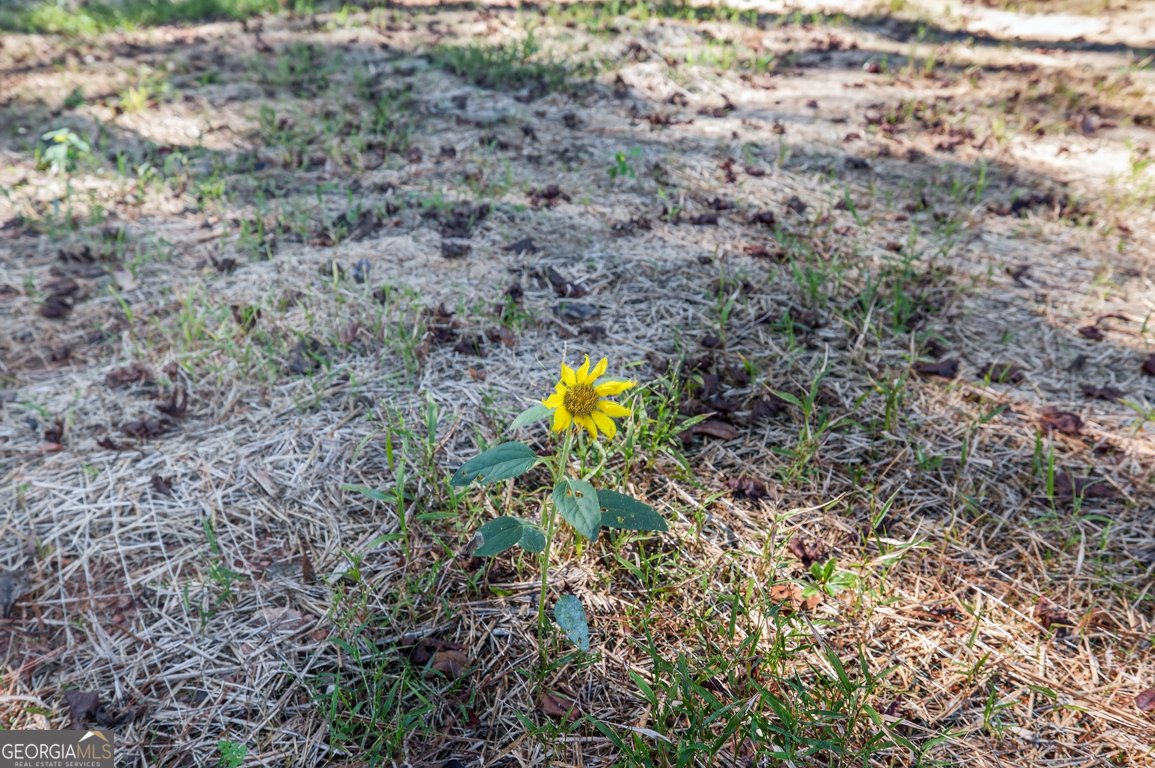 159 Mockingbird Lane Winder - 38