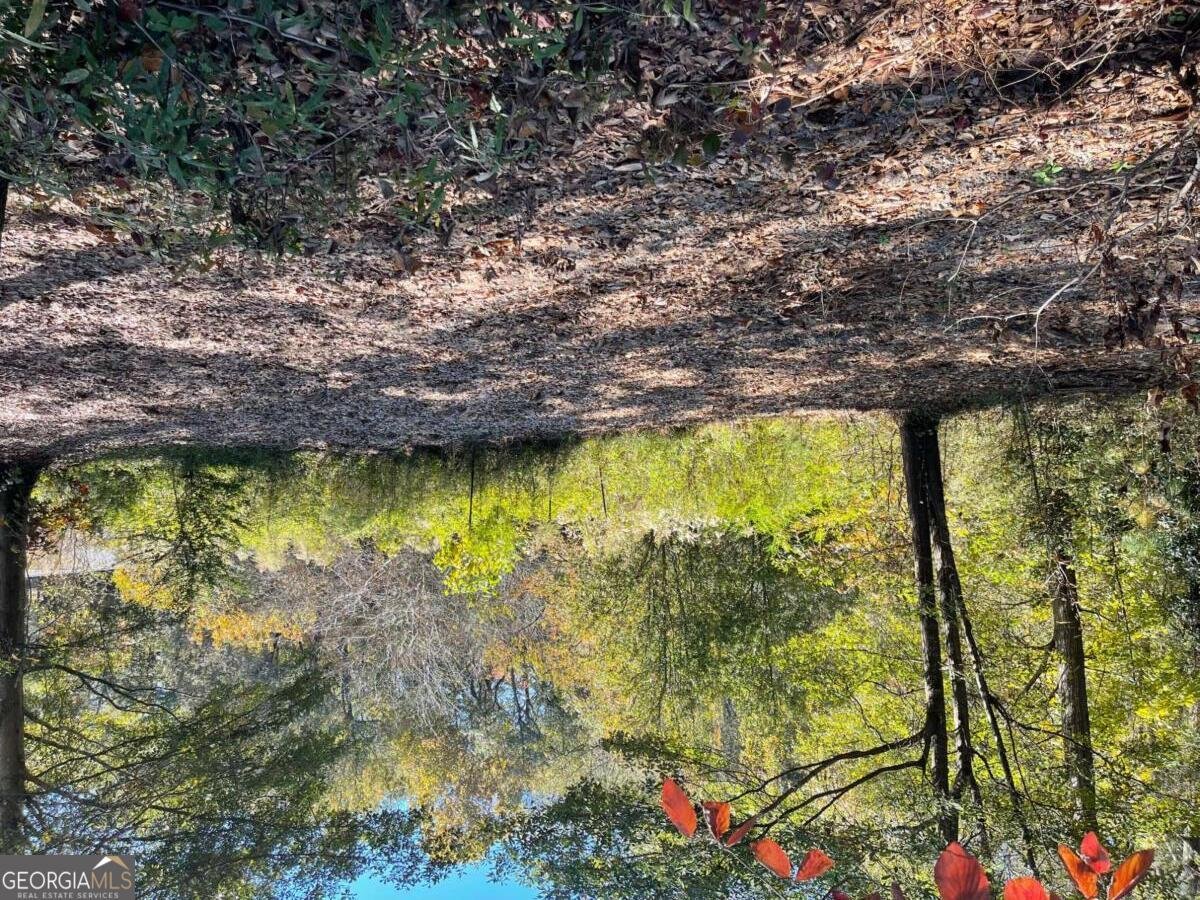 2569 Reed Creek Highway Hartwell - 26