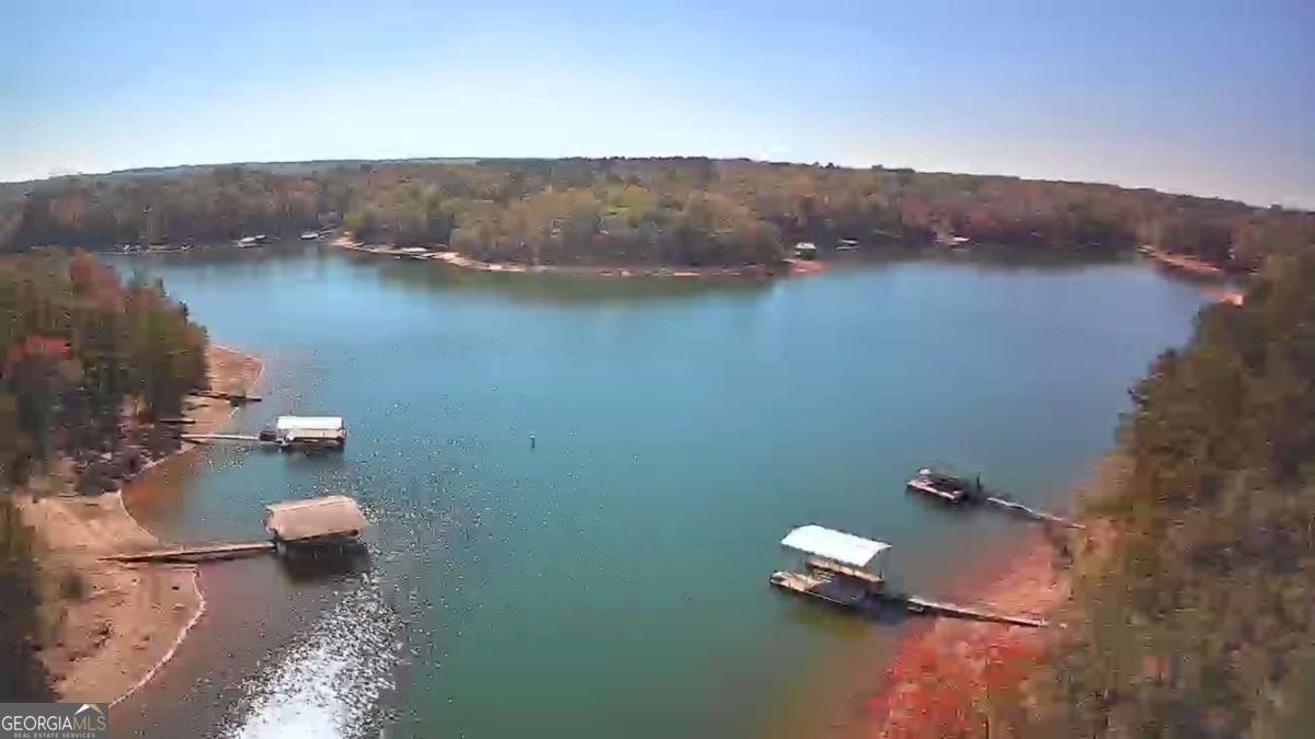 2569 Reed Creek Highway Hartwell - 38