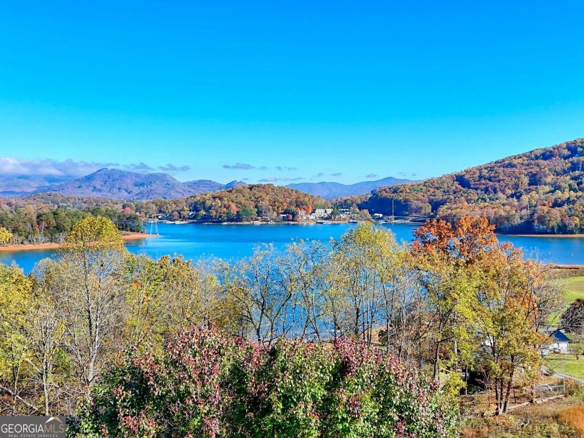 1929 Lakeview Summit Drive Young Harris - 72